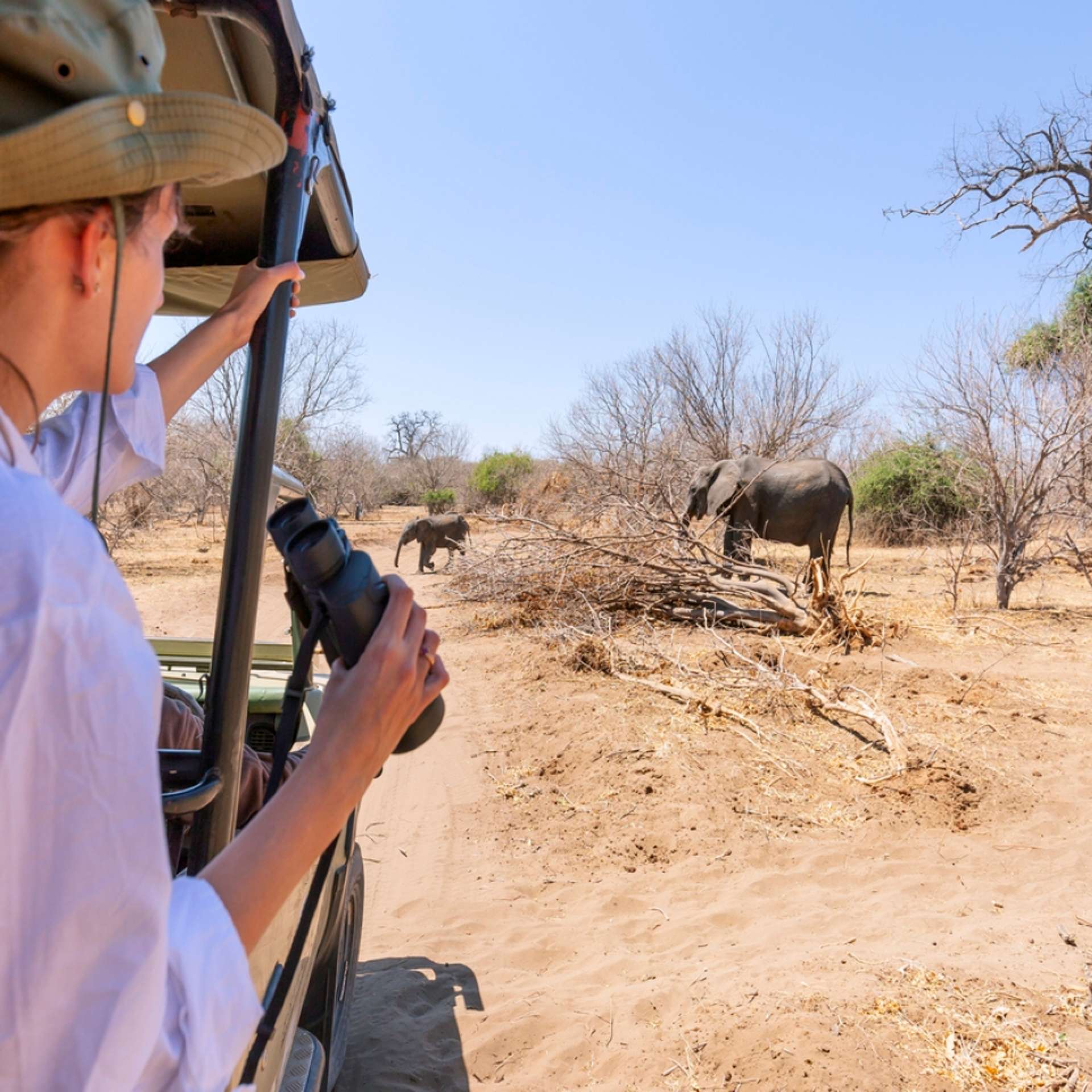 10 Best Tours of Tanzania for Seniors Aged 60+