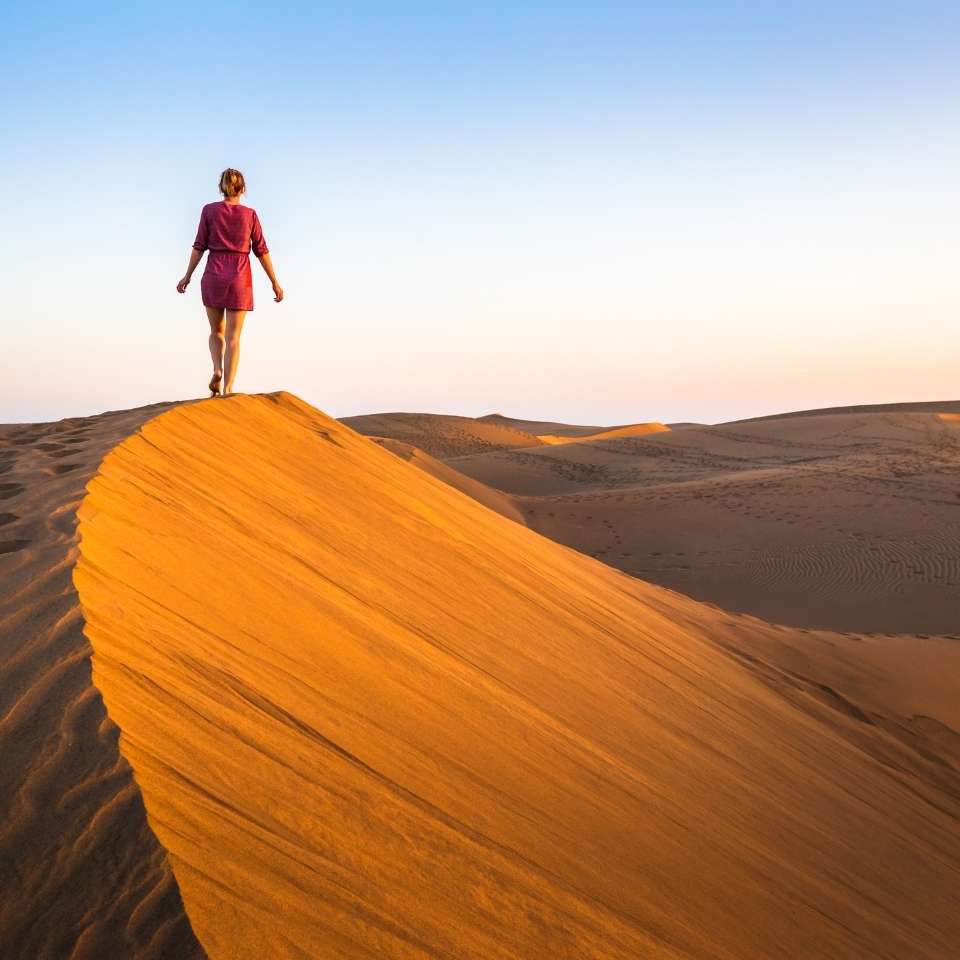 Top UAE tours