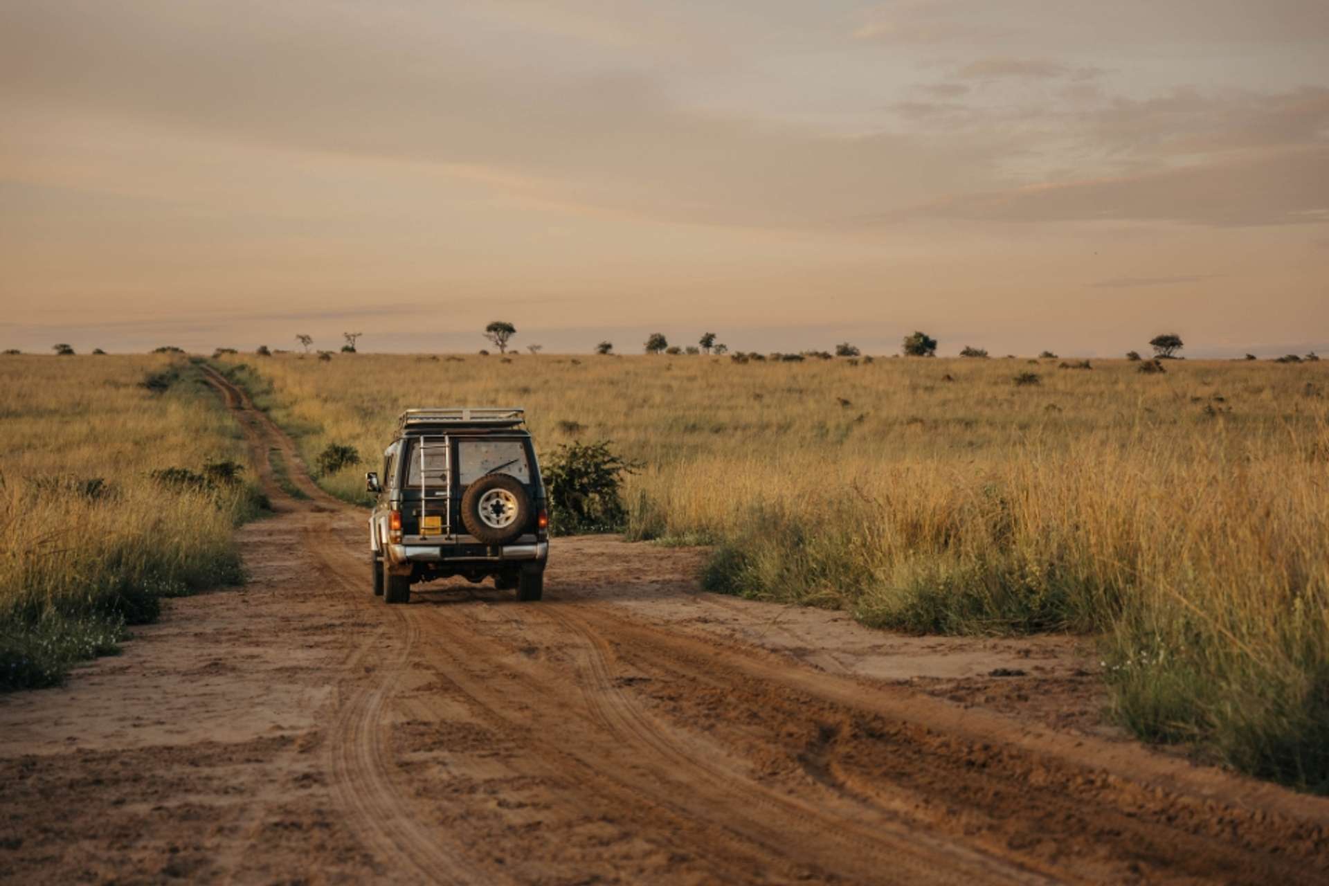 Uganda Tours and Trips for Young Adults