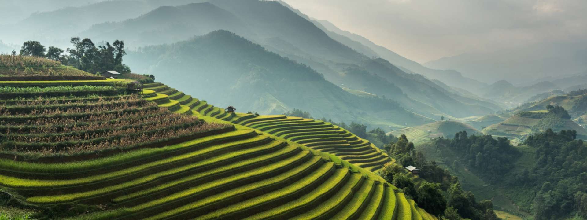 Vietnam Trips and Tours 2025/2026