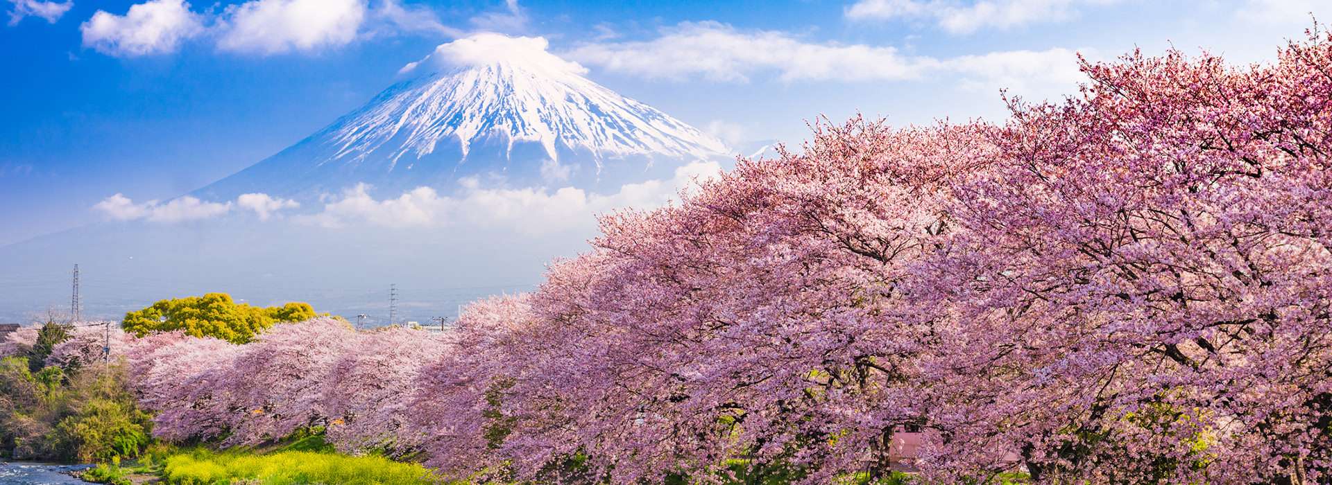 Japan Travel Guide - Travel Insights and Tips