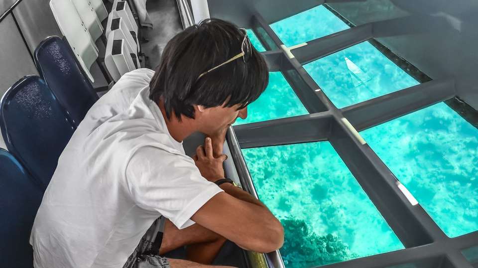 Cairns and the Great Barrier Reef - Aat Kings - Australia - Image 2