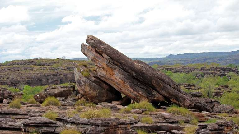 Darwin National parks Tour: Kakadu and East Alligator River