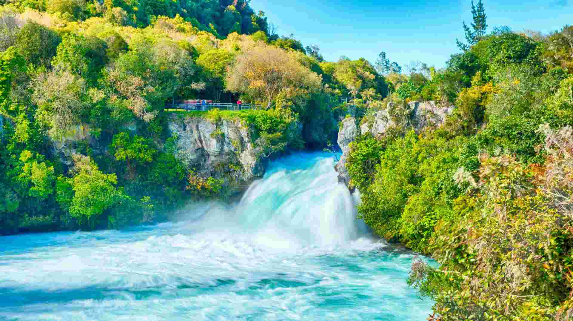 New Zealand Uncovered