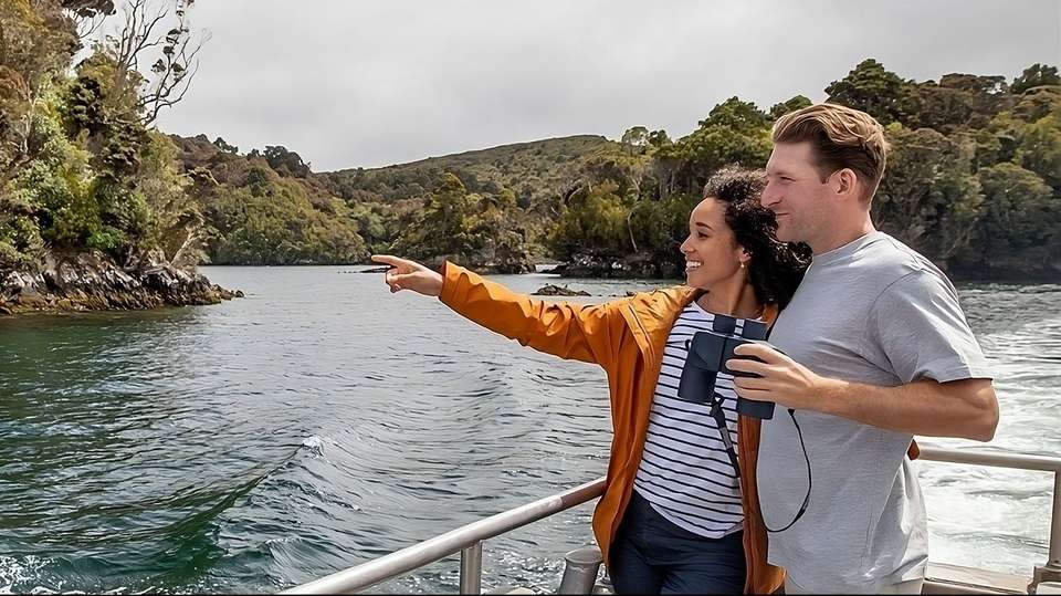 Southern Spirit - Aat Kings - New Zealand - Image 1