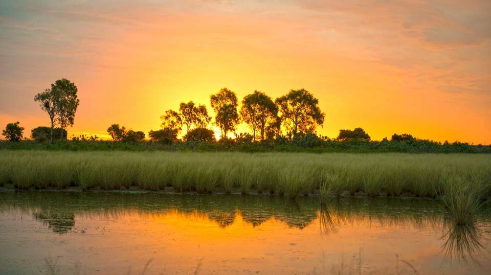 Gulf Savannah Wanderer - Aat Kings - Australia - Image 3