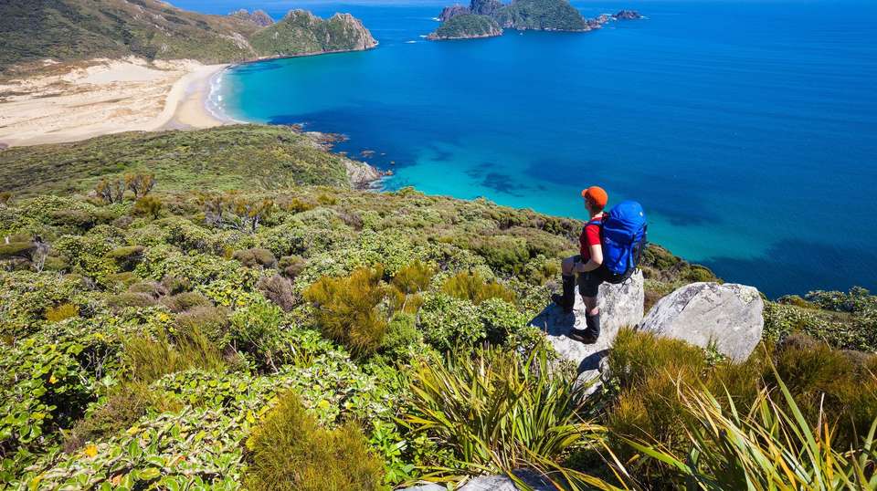 Essence of New Zealand - Aat Kings - New Zealand - Image 3