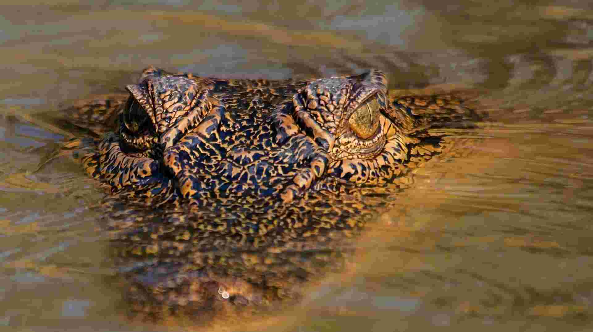Kakadu and Arnhemland