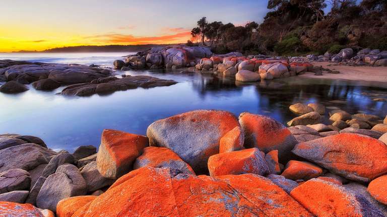 Tasting Tasmania & Flinders Island trip - alternative tour available