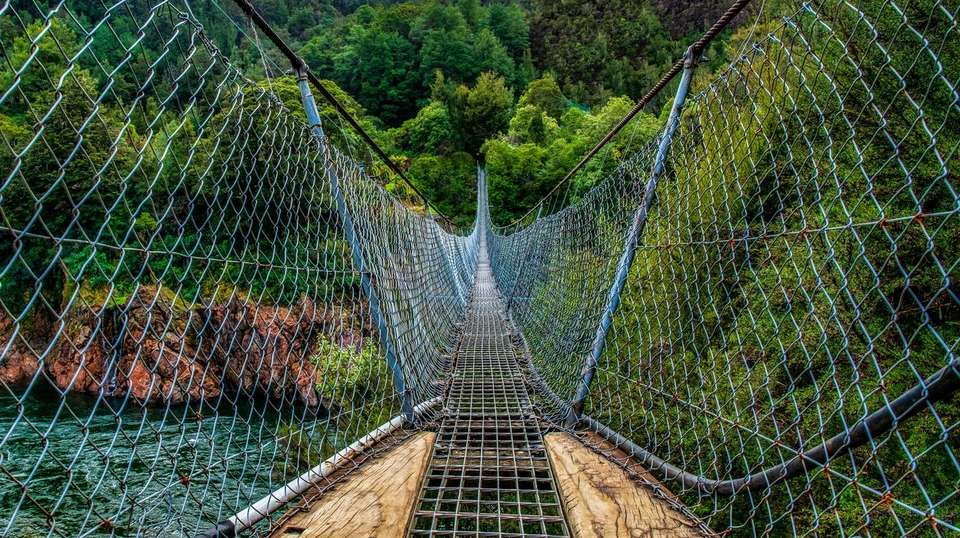 Essence of New Zealand - Aat Kings - New Zealand - Image 5