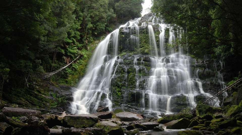 Tassie's Parks and Nature - Aat Kings - Australia - Image 5