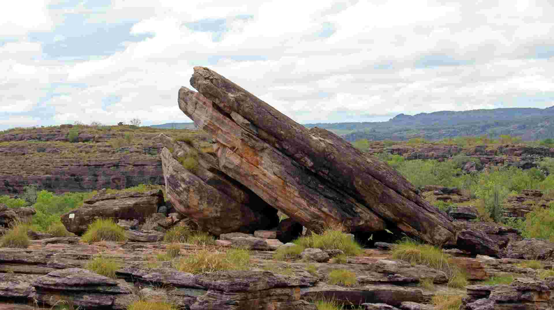 Kakadu and Tiwi Island Explorer