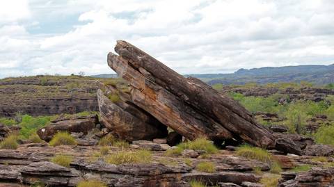 Darwin National Parks Tour: Kakadu And Tiwi Island Explorer
