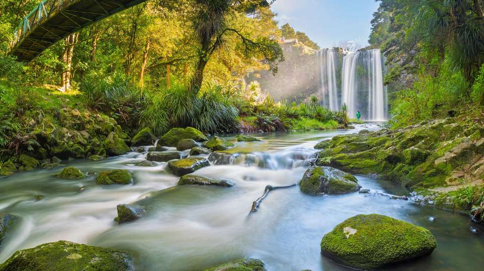 Jewels of the Bay - Aat Kings - New Zealand - Image 1