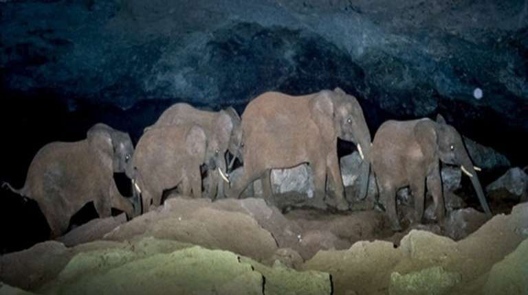 Mt. Elgon National Park trip - alternative tour available