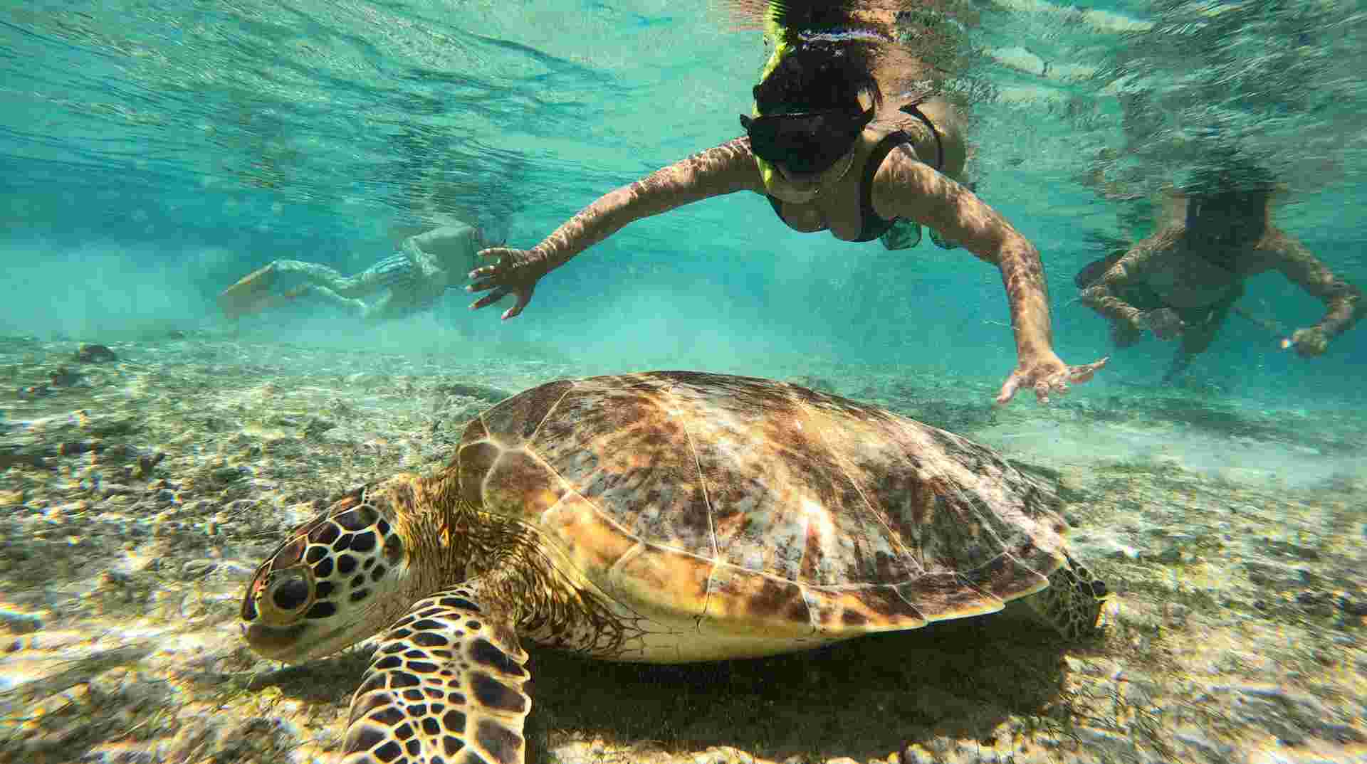 Six-Day Adventure in Lombok for Thrill-Seeker