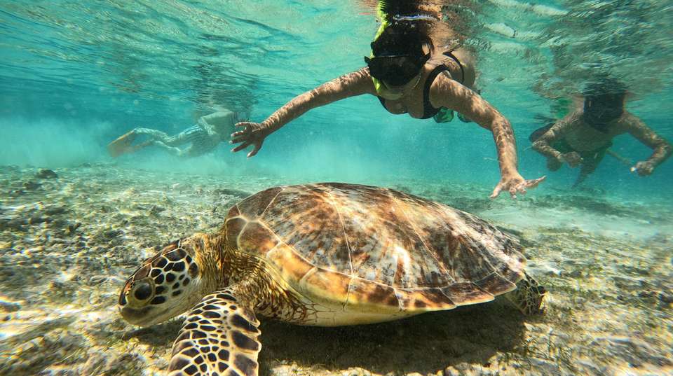 Six-Day Adventure in Lombok for Thrill-Seeker - Adventure Lombok Tour - Indonesia - Image 1