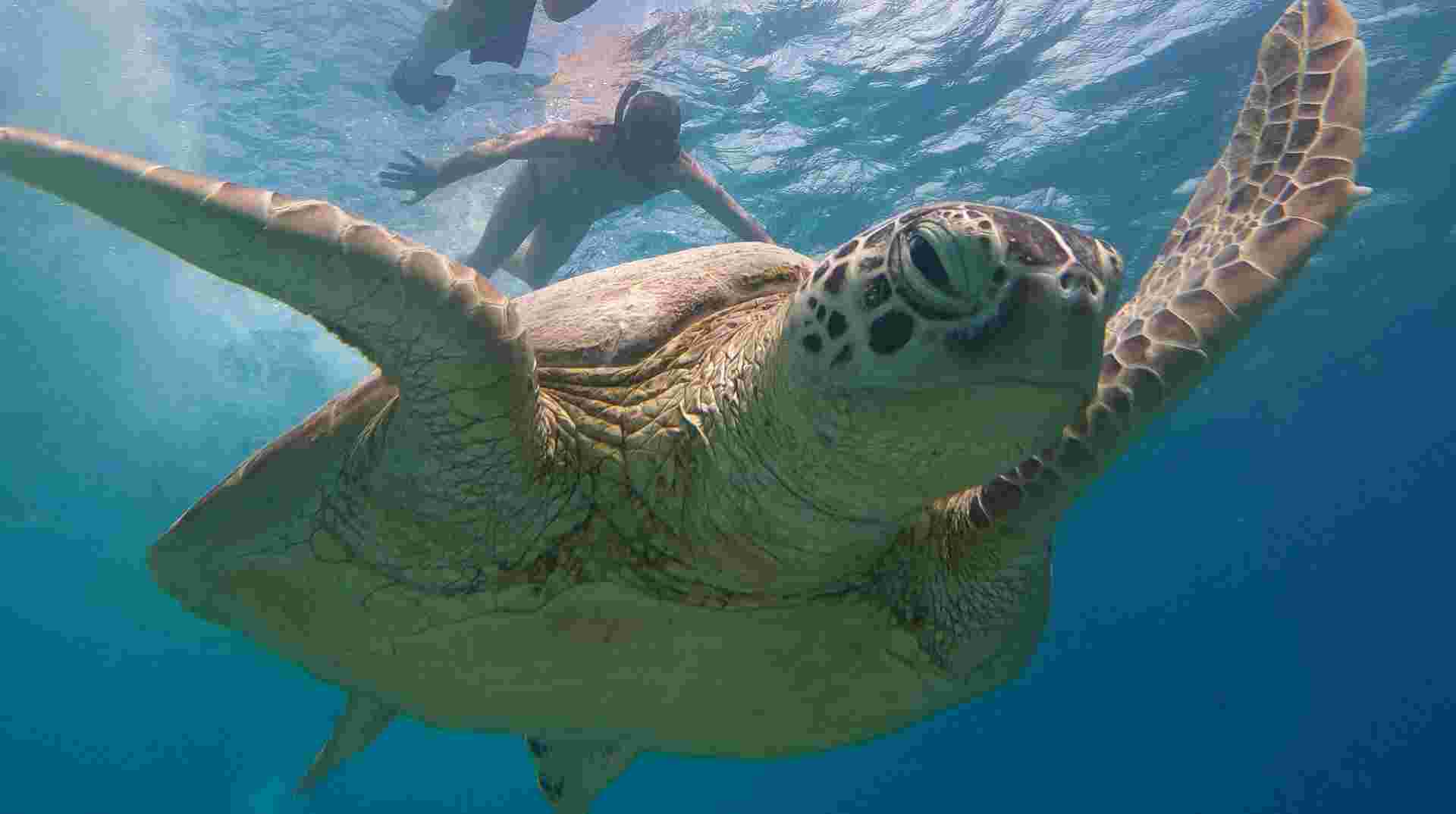 Lombok 4 Days Vacation