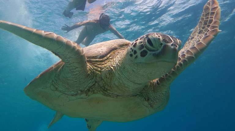 Lombok 4 Days Vacation - May 2027