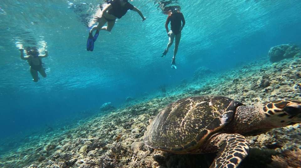 Six-Day Adventure in Lombok for Thrill-Seeker - Adventure Lombok Tour - Indonesia - Image 2