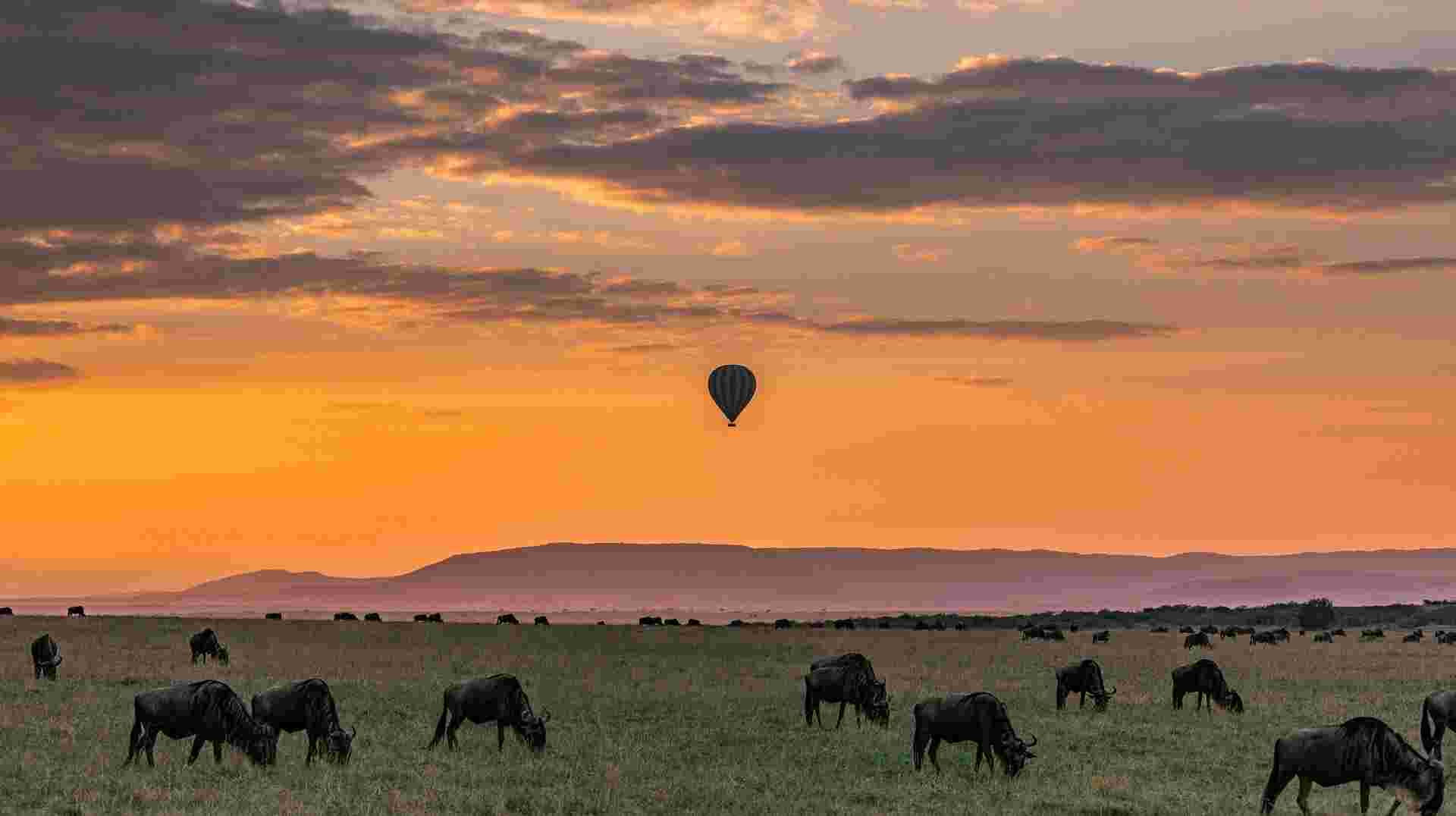 The Best of Tanzania: 6-Day Safari