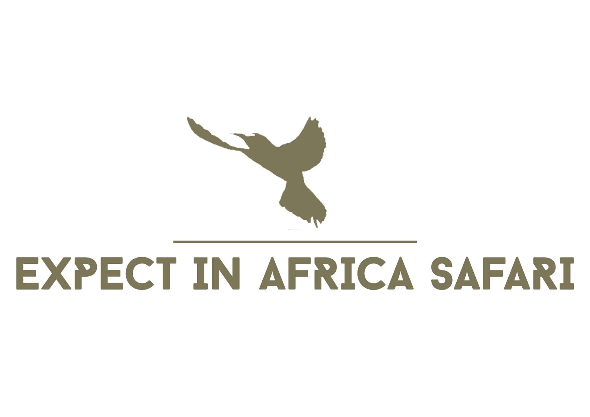 Expect In Africa Safari 