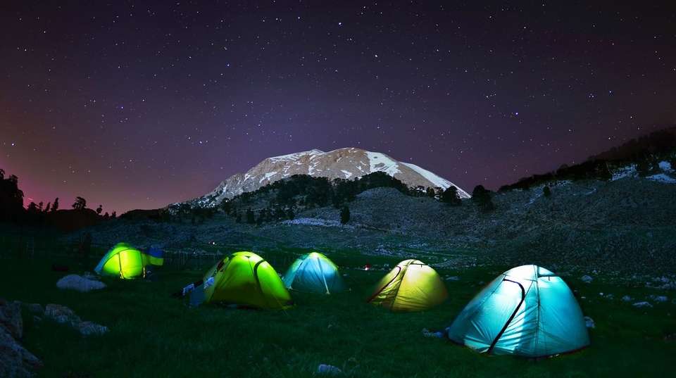 8 Days Mount Kilimanjaro Via Lemosho Route - African Love Birds Adventure Ltd - Tanzania - Image 1
