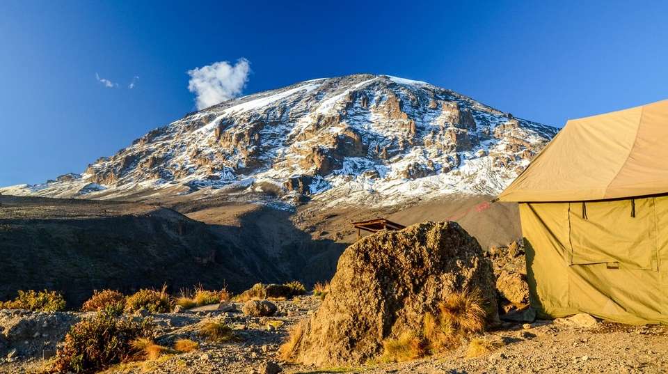 8 Days Mount Kilimanjaro Via Lemosho Route - African Love Birds Adventure Ltd - Tanzania - Image 3