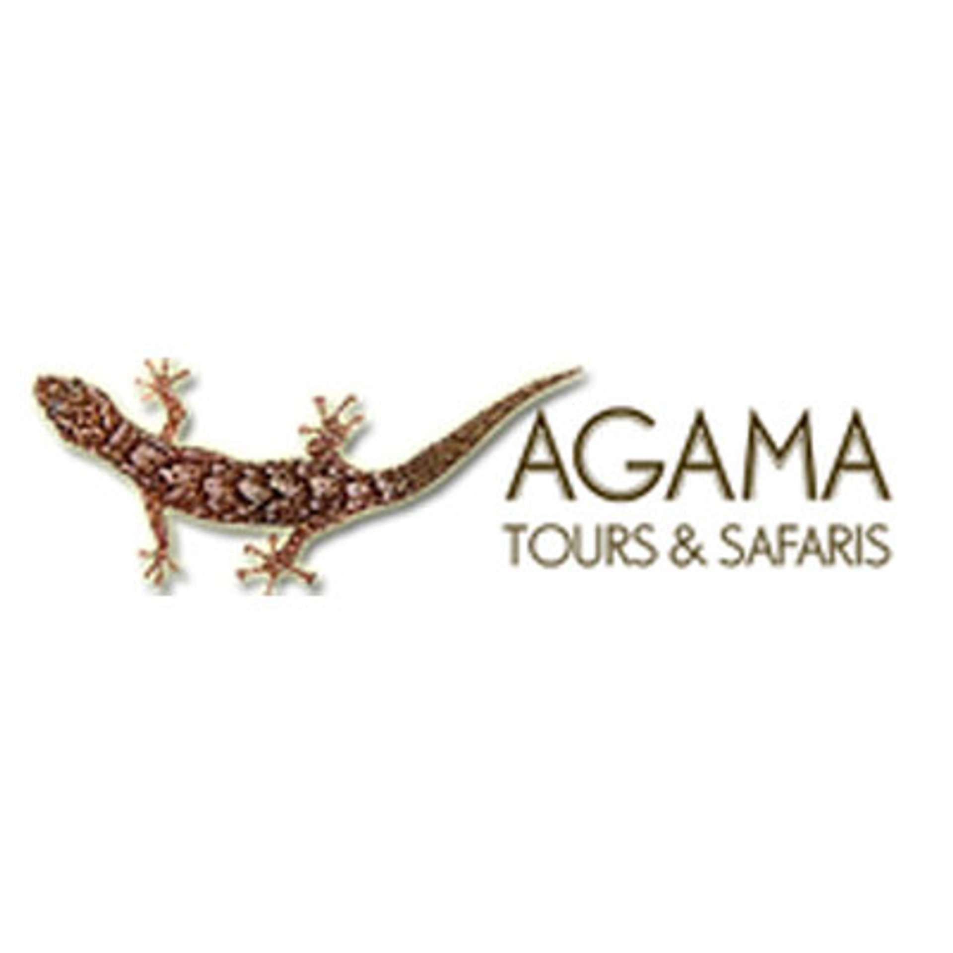 Agama Tours and Safaris