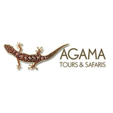 Agama Tours and Safaris