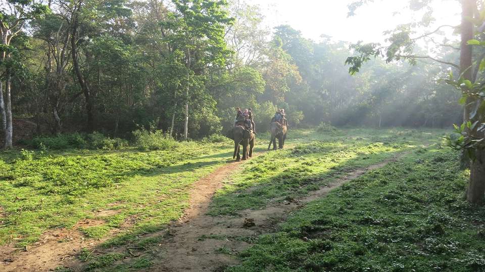 Chitwan Jungle Safari Tour 3 Days - undefined - Image 1