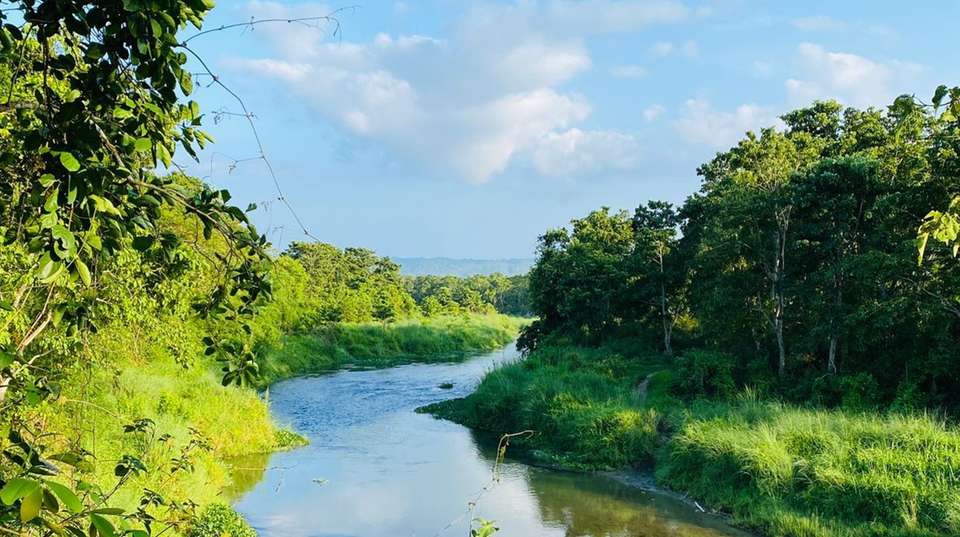 Pokhara and Chitwan National Park 7 Days - undefined - Image 4