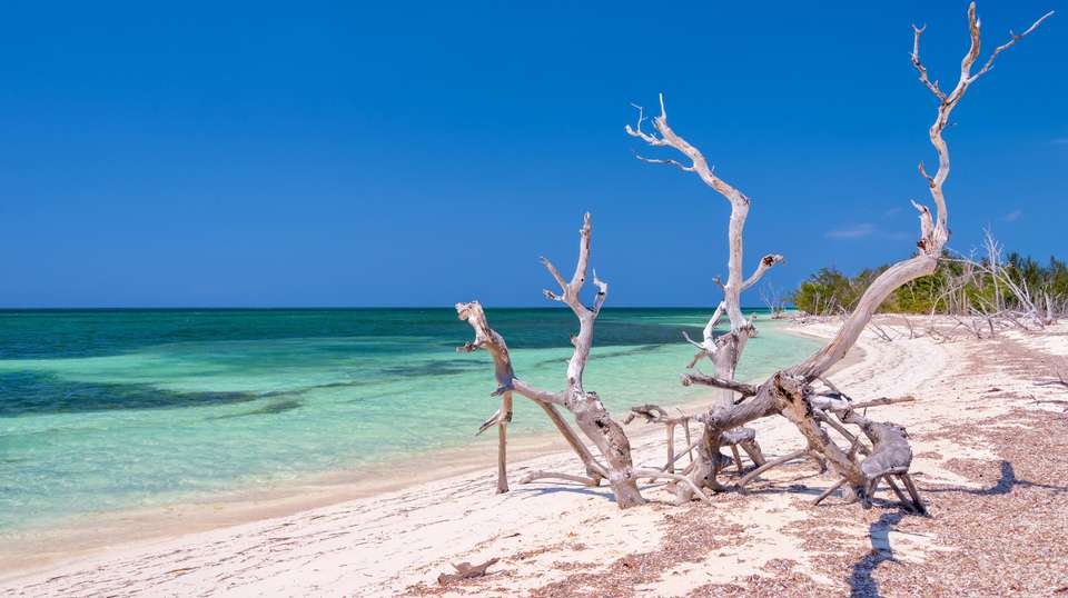 Authentic Cuban landscapes and Caribbean beach - undefined - Image 6