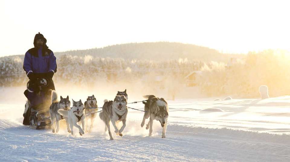 Winter immersion in Saami land - undefined - Image 1
