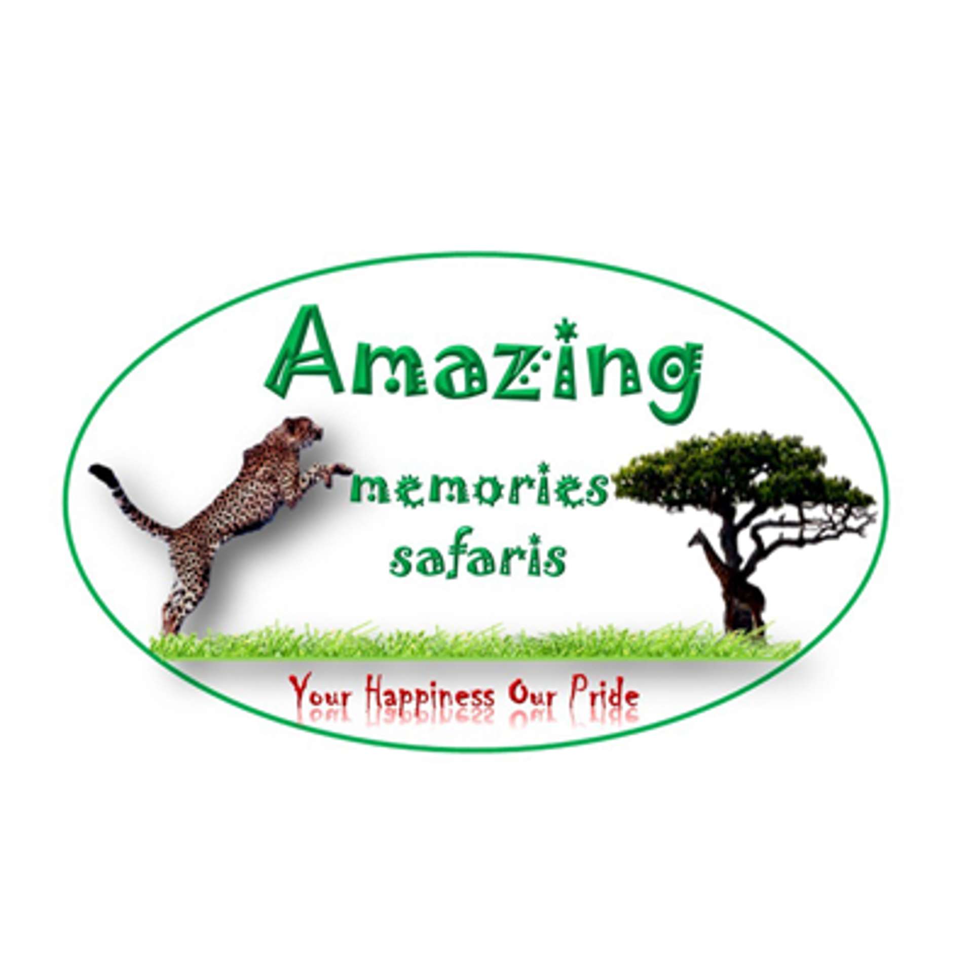 Amazing Memories Safaris