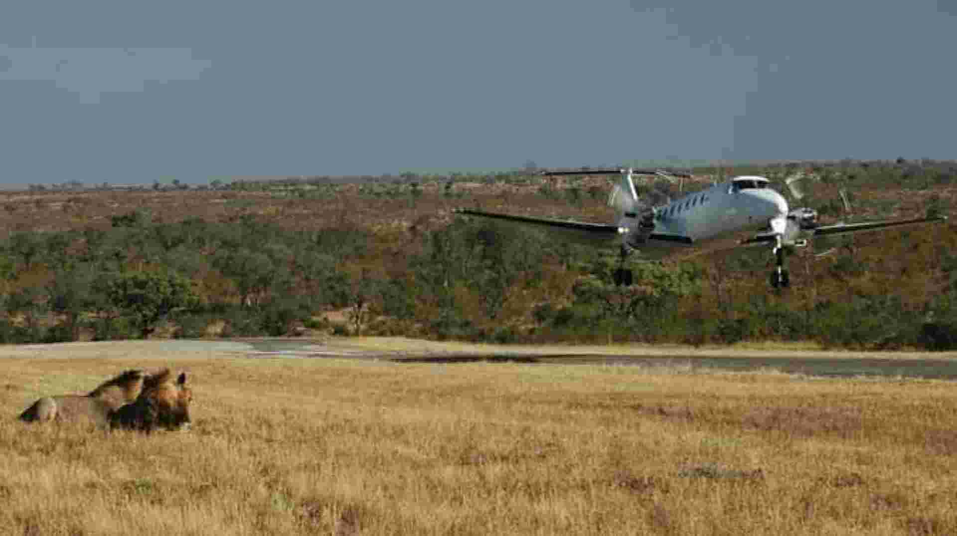 3-Day Safari Zanzibar to Nyerere Park