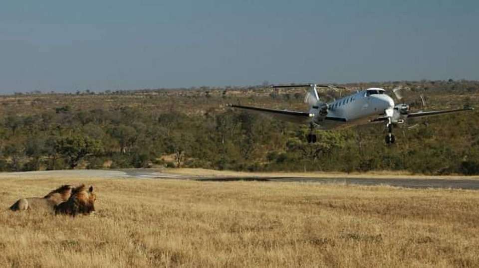 3-Day Safari Zanzibar to Nyerere Park - Anapa Travel Africa Tours - Tanzania - Image 1