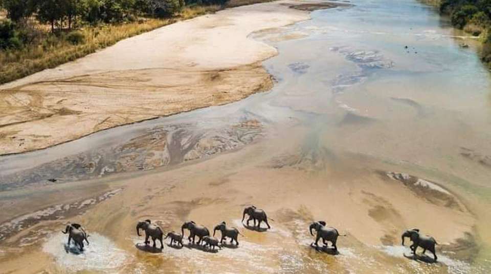 3-Day Safari Zanzibar to Nyerere Park - Anapa Travel Africa Tours - Tanzania - Image 9