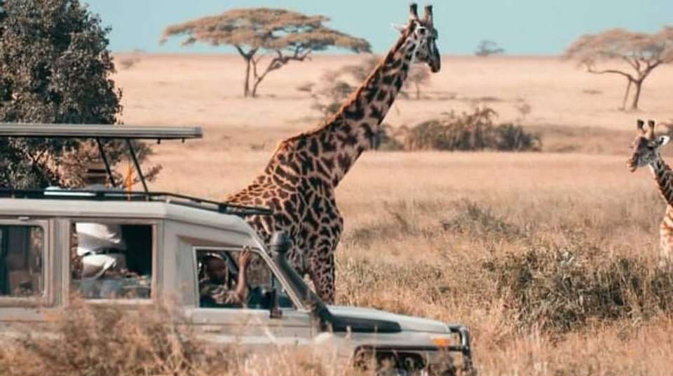 6-Day Safari in Tarangire, Serengeti, Ngorongoro& Manyara - Anapa Travel Africa Tours - Tanzania - Image 5