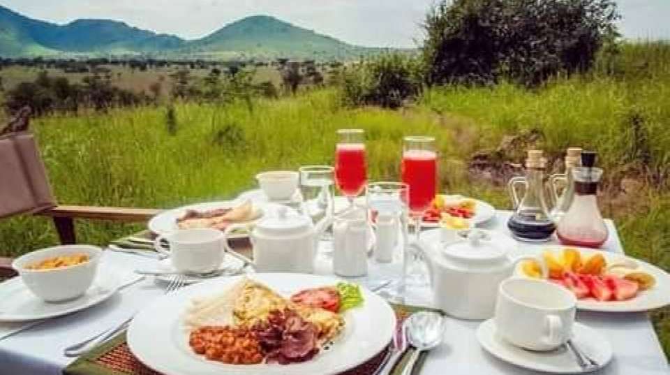 3-Day Zanzibar to Serengeti & Ngorongoro by Plane - undefined - Image 7