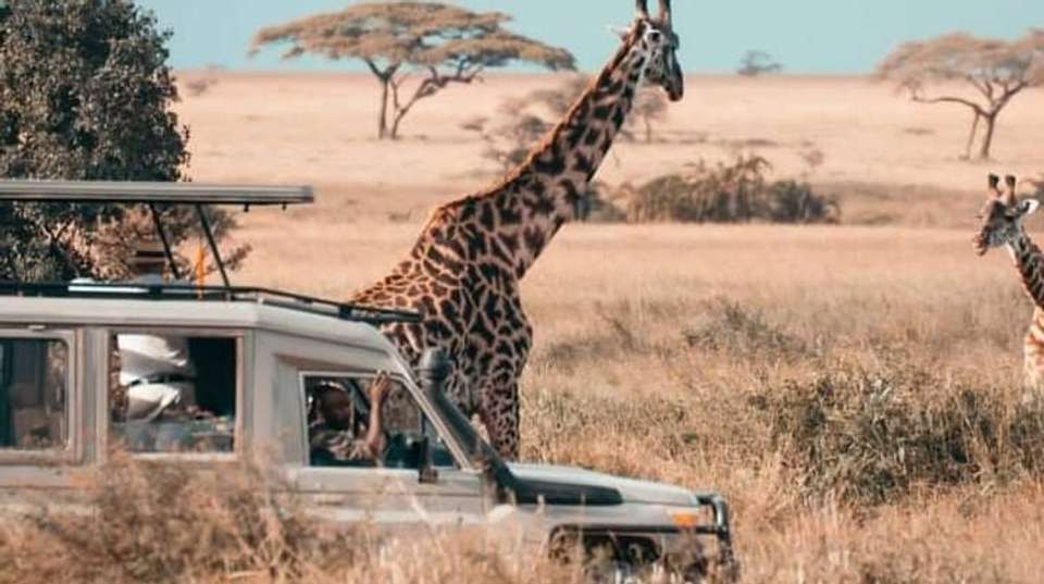 4-Day Safari in Tarangire, Serengeti & Ngorongoro Private - Anapa Travel Africa Tours - Tanzania - Image 4