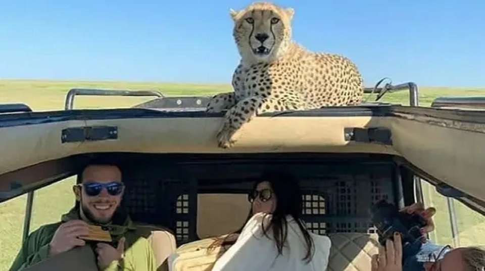 4-Day Safari in Tarangire, Serengeti & Ngorongoro Group - Anapa Travel Africa Tours - Tanzania - Image 6