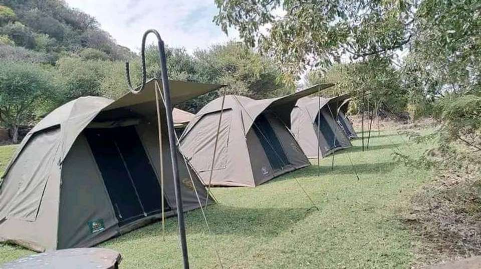 5-Day Safari in Tarangire, Serengeti,Ngoro &Manyara Group - Anapa Travel Africa Tours - Tanzania - Image 4