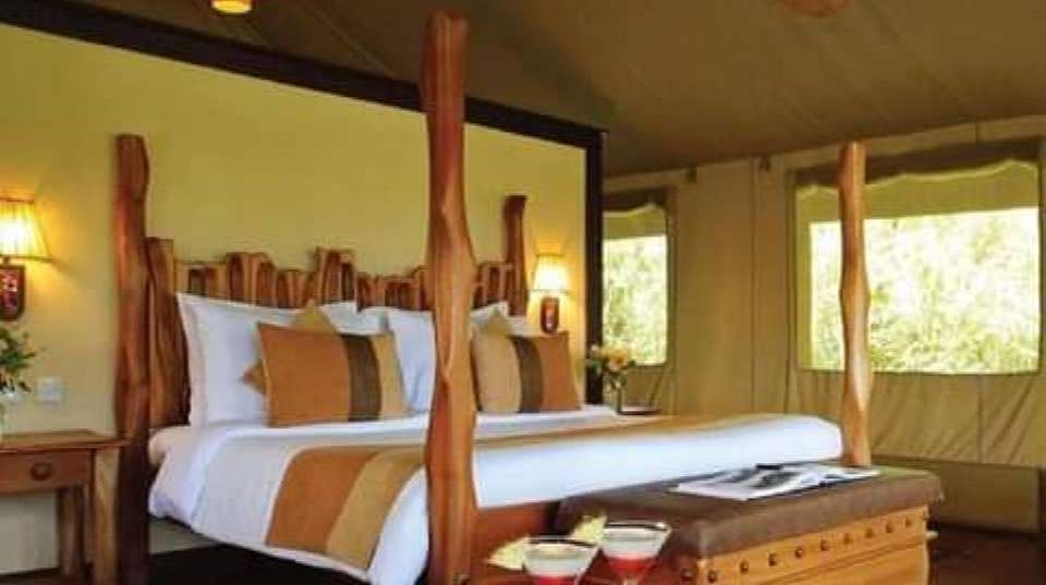 3-Day Zanzibar to Serengeti & Ngorongoro by Plane - undefined - Image 8