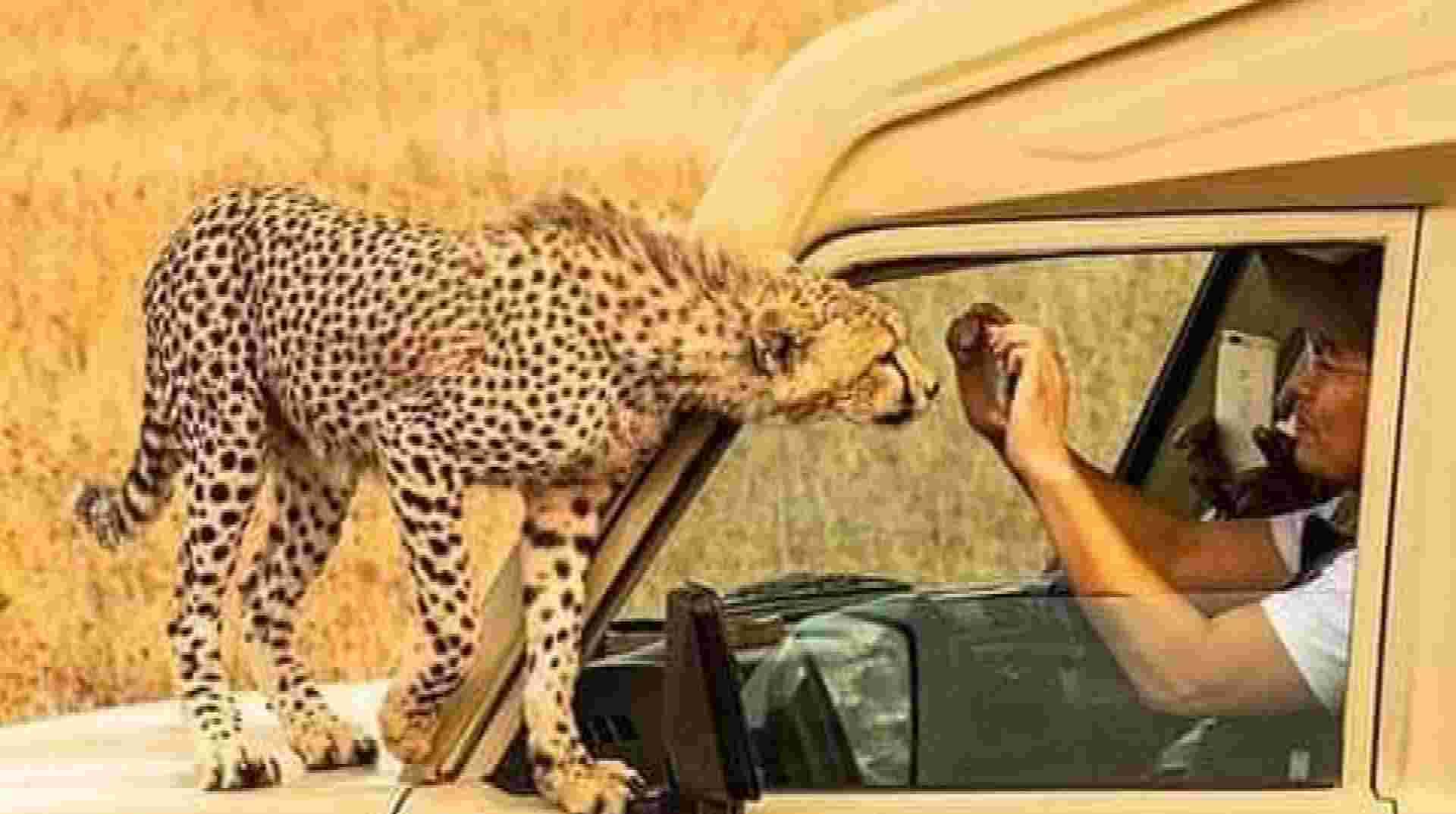 3-Day Zanzibar to Serengeti & Ngorongoro by Plane