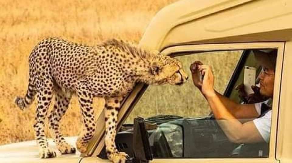 3-Day Zanzibar to Serengeti & Ngorongoro by Plane - undefined - Image 1