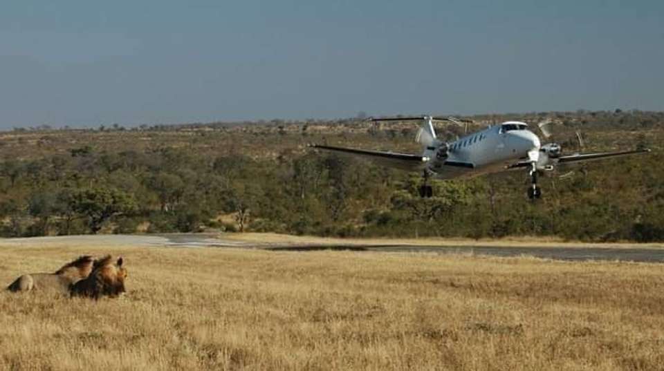 Safari from Zanzibar to Mikumi National Park by Flight - Anapa Travel Africa Tours - Tanzania - Image 1