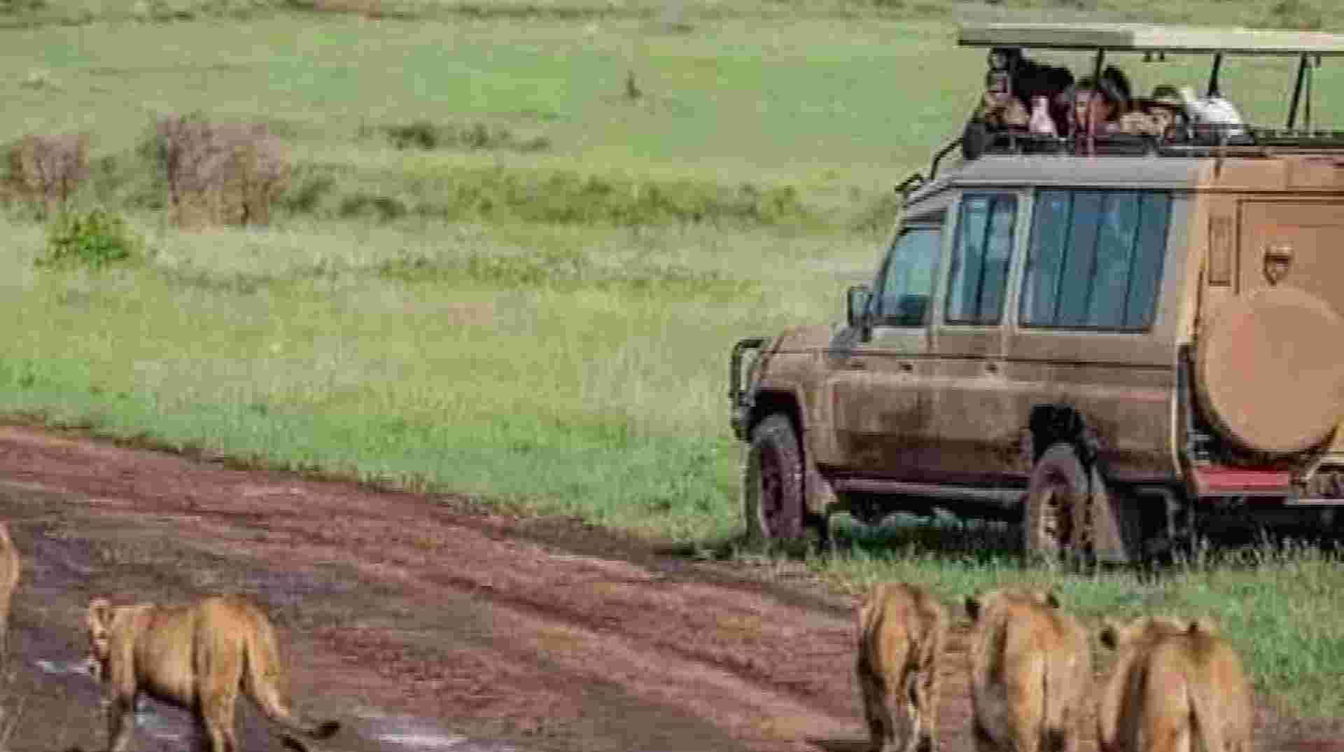 6-Day Safari in Tarangire, Serengeti, Ngorongoro & Lake Manyara