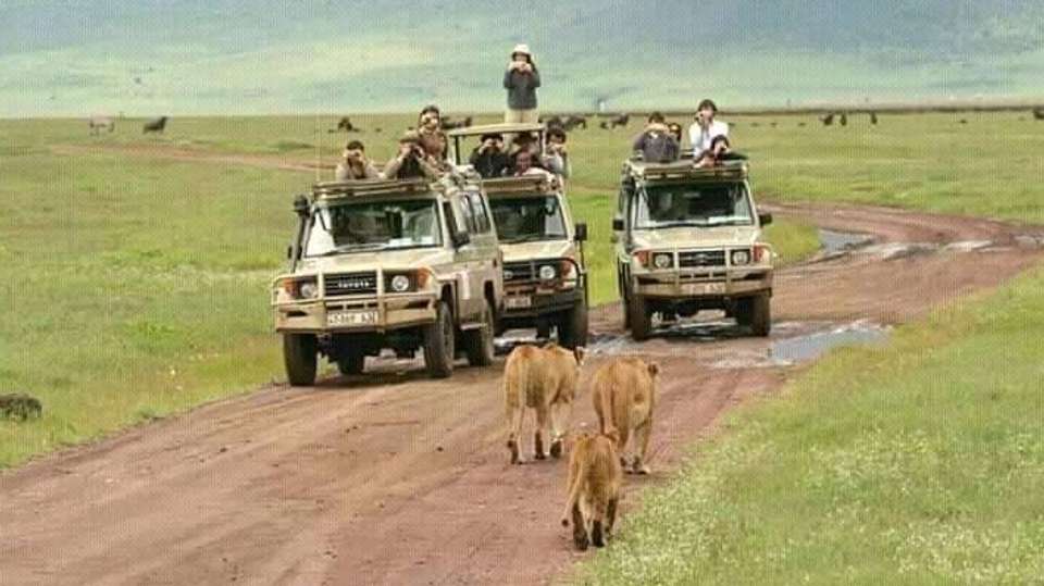 3-Day Tarangire, Ngorongoro, and Lake Manyara Safari - undefined - Image 11