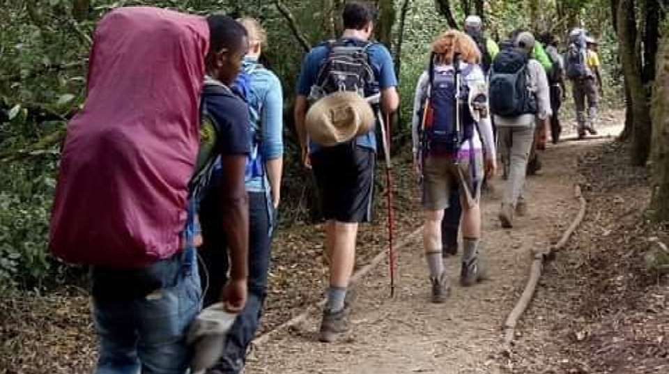 6-Day Kilimanjaro Climbing via Rongai Route - Anapa Travel Africa Tours - Tanzania - Image 6